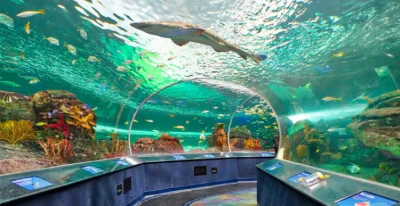 아쿠아리움